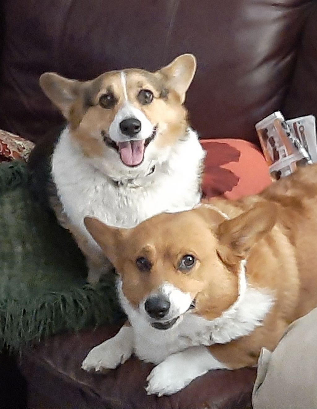 Lucy & Bruce